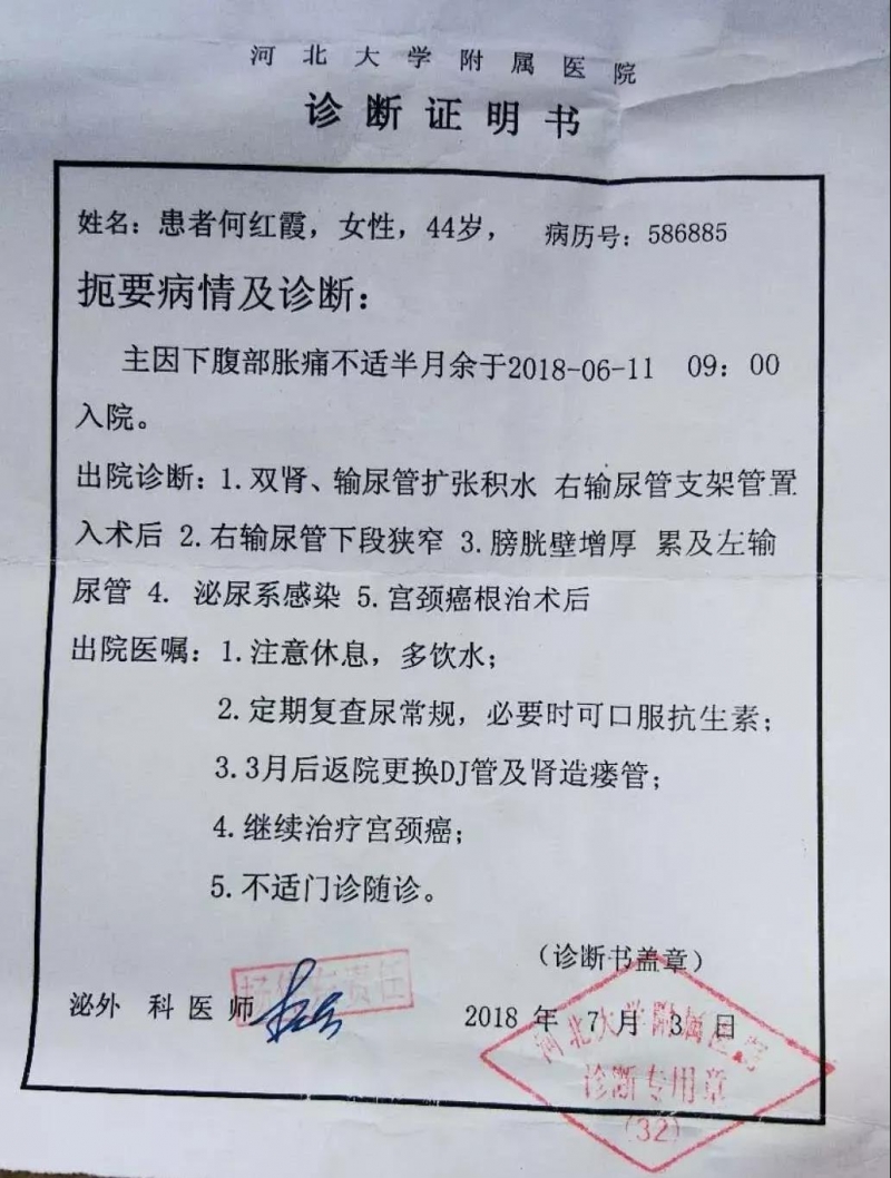 保定最新确诊,保定最新确诊，小巷深处的独特风味