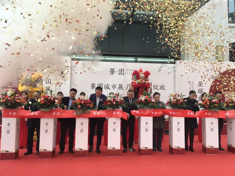 怀化城市最新动态，多维发展与深度反思