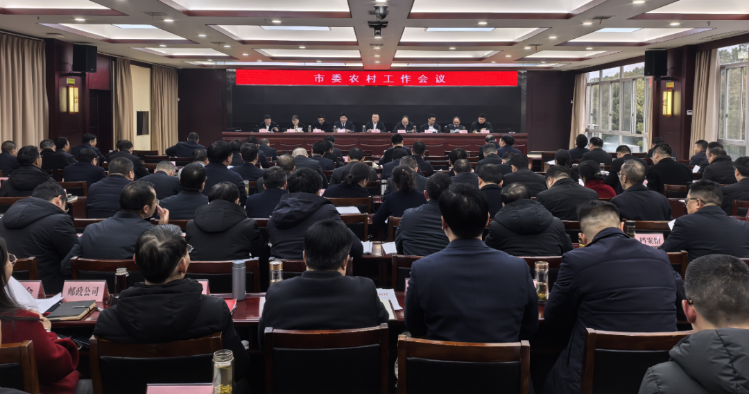麻城信息网最新新闻报道汇总