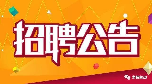 常德最新招聘，时代脉搏下的职场新篇章