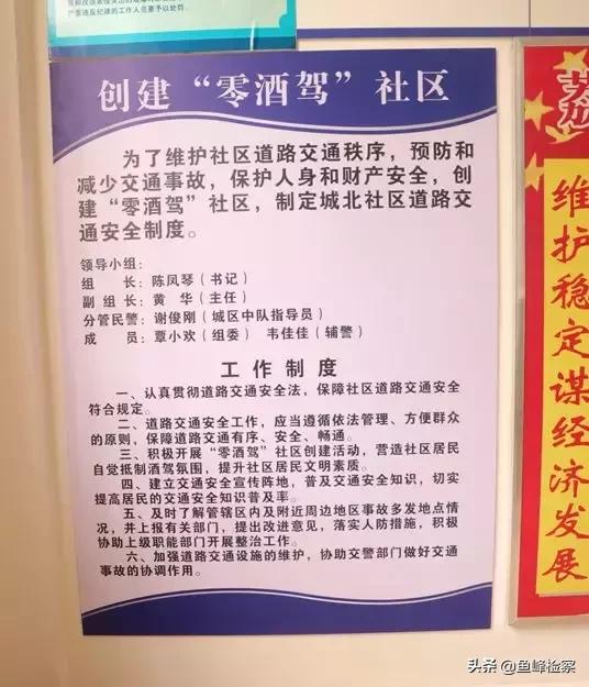 桂林监察网最新动态，自然之旅的心灵觉醒之旅