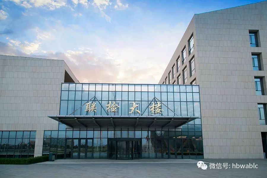 武安市最新信息港实时动态与时代脉搏同步更新