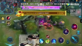 王者荣耀嗨氏最新解说揭秘，小巷中的隐藏瑰宝