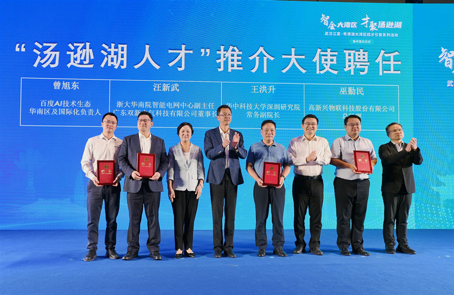 江夏区最新招聘信息详解，观点阐述与分析
