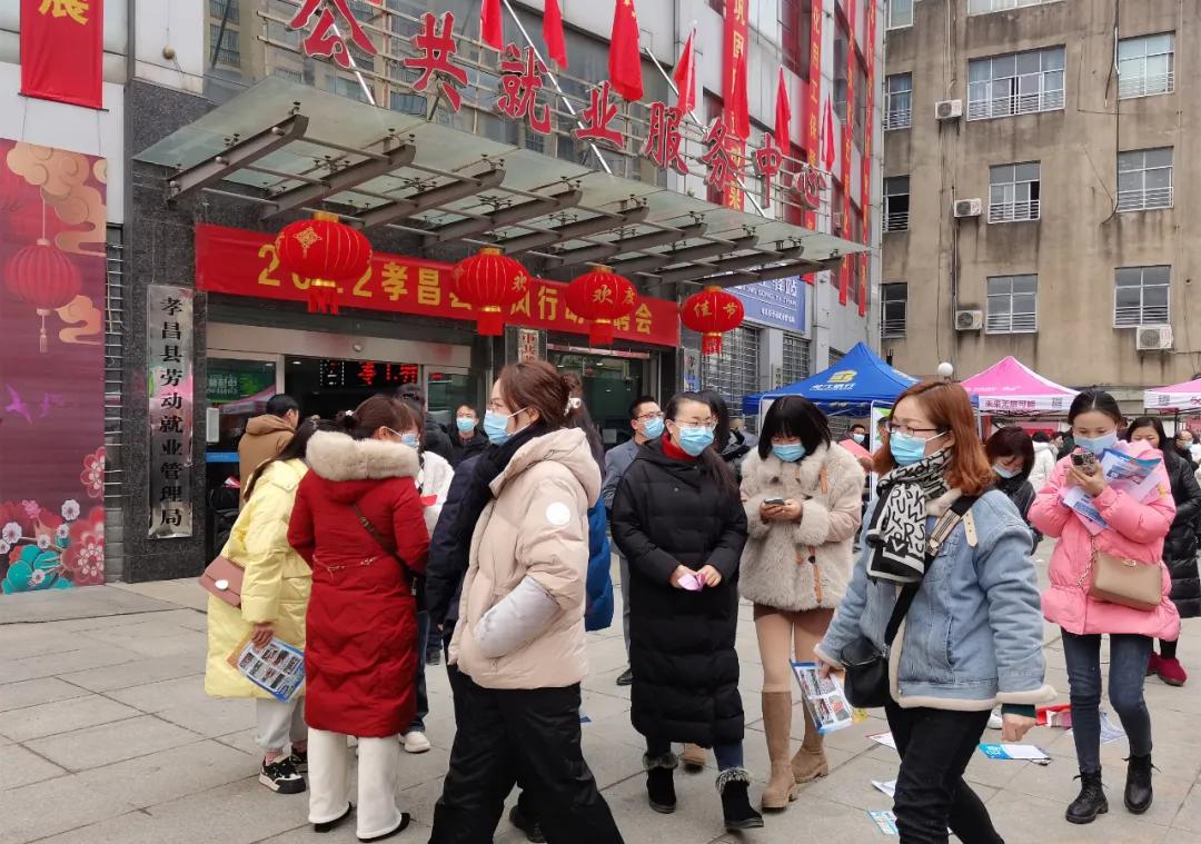 孝昌花园最新招聘信息详解及个人观点分享