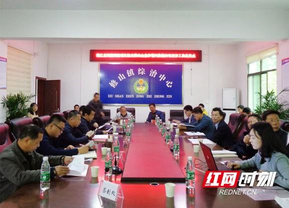 桃江红网最新消息及其观点论述解析